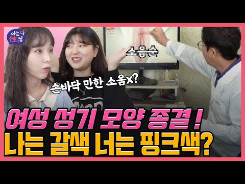 , title : '소음순이 짝짝이? 색깔은 핑크? 👀눈으로 보는 여성 성기 모양 종결!'