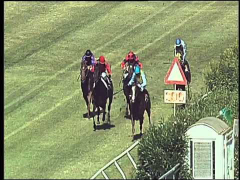 Galoppo 19/06/2015 - 1° corsa