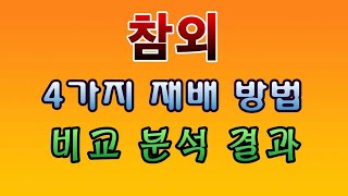 [텃밭농부.1,197]  참외 4가지 특징의 재배 방법에 대한 비교분석 #참외재배