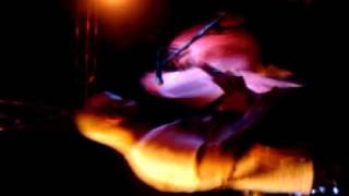 Death by Stereo Entombed We Collide clip3