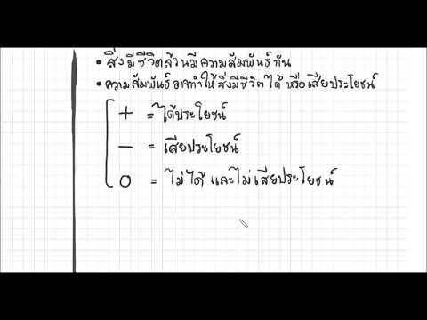 ความสัมพันธ์ของสิ่งมีชีวิต
