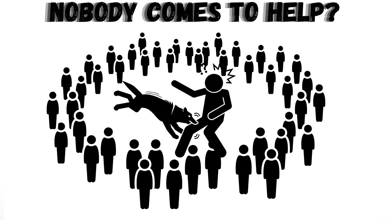 15 The Psychology Theories That Will Change How You See the World