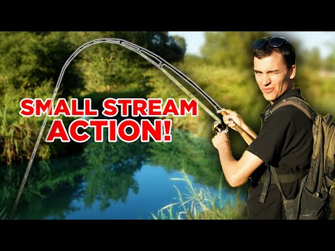 Fishing With Worms on a Small Stream - multi species dropshotting