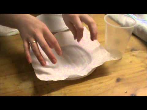 download lagu mp3 mp4 What Makes Paper Towels Absorbent, download lagu What Makes Paper Towels Absorbent gratis, unduh video klip What Makes Paper Towels Absorbent