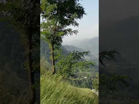 #wadi #srandnakundbangla