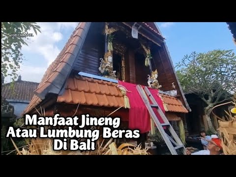 Manfaat Jineng [ Lumbung Beras ] Di Bali