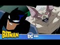 The Batman en Latino 🇲🇽🇦🇷🇨🇴🇵🇪🇻🇪 | Cuidado con el Man-Bat | @DCKidsLatino