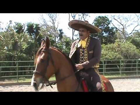 Sergio Rugama- Alla en el cielo