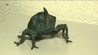 preview picture of video 'Käferkunst: Wiggensbacher Töpfer zeigt von Insekten inspirierte Ausstellung'