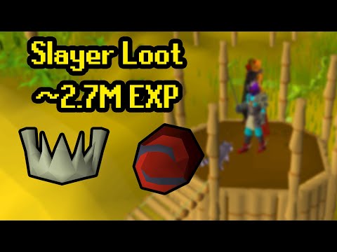 Making MASSIVE Gains From 106 to 107 Slayer