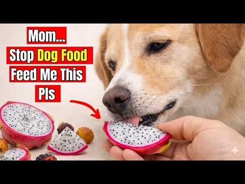 Stop Buying Expensive Dog Food – Feed These 20 Human Foods Instead”