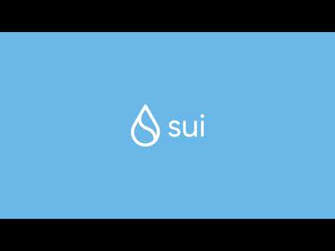 Sui Blockchain vs Traditional Blockchain