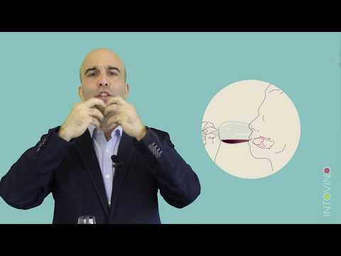 Wine Tasting: Learn to taste wine like a pro