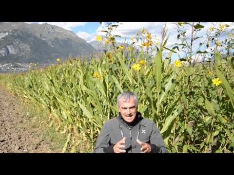 Nel Bleggio e nel Lomaso