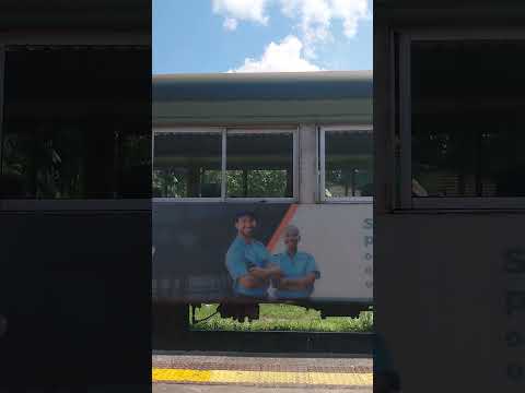 Trem de passageiros manobrando para o embarque em morretes Paraná #shortsviral #shorts #ferrovia