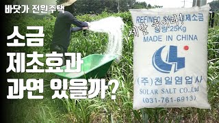 [전원주택 관리 꿀팁] 소금뿌리면 과연 제초효과가 있을까요? 제가 직접 실험해 보았습니다.
