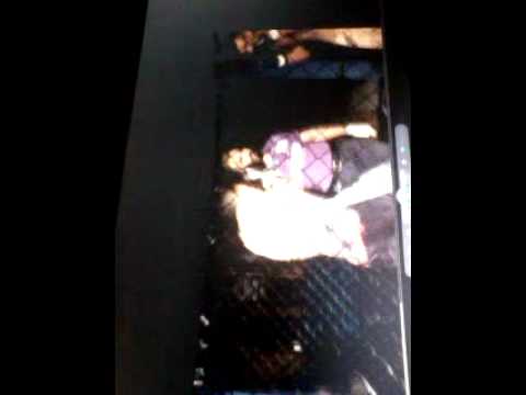 Carlim relâmpago x predador