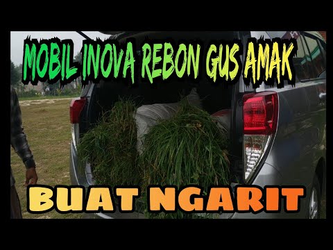 NGERI‼️MOBIL INOVA REBON BUAT NGARIT
