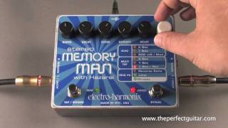 【wsb】Stereo Memory Man with Hazarai Stereo Memory Man with Hazarai | Delay & Looper - Electro