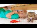 Oliver's Desperate Search for His Lost Cat