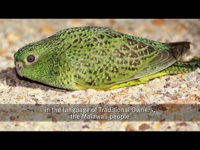 YouTube thumbnail image