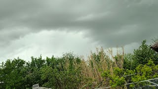 [4K] Light Rain with thunders. FiLmed with my new phone: Motorola Edge 50! #lightrain #thunder