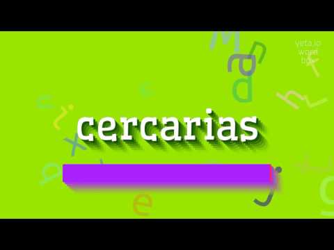 CERCARIAS - HOW TO PRONOUNCE CERCARIAS? #cercarias