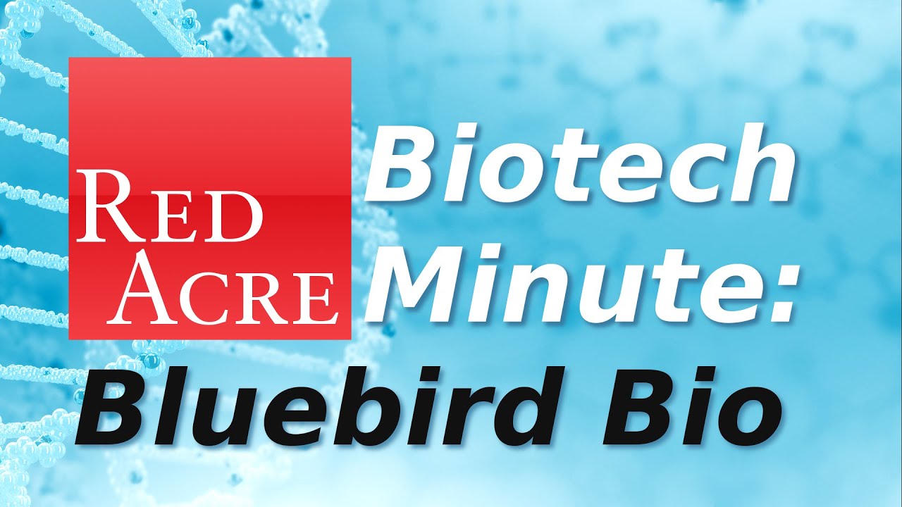Biotech Minute: Why Bluebird Bio Sky-Rocketed