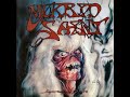 Morbid Sain̲t̲ Spectrum O̲f̲ Death 1988 Full Album