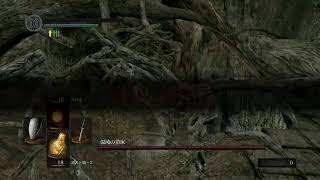 ダークソウルサクサクやっていきます！