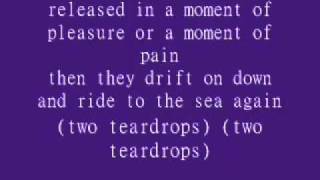 Steve Wariner- Two Tear Drops