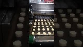 preview picture of video 'BAKERY MACHINERY SUPPLIER-9159701537(36)'