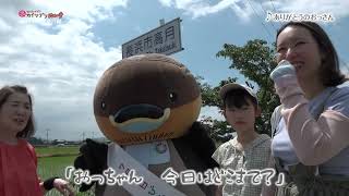 2026/8/26放送・知ったかぶりカイツブリにゅーす