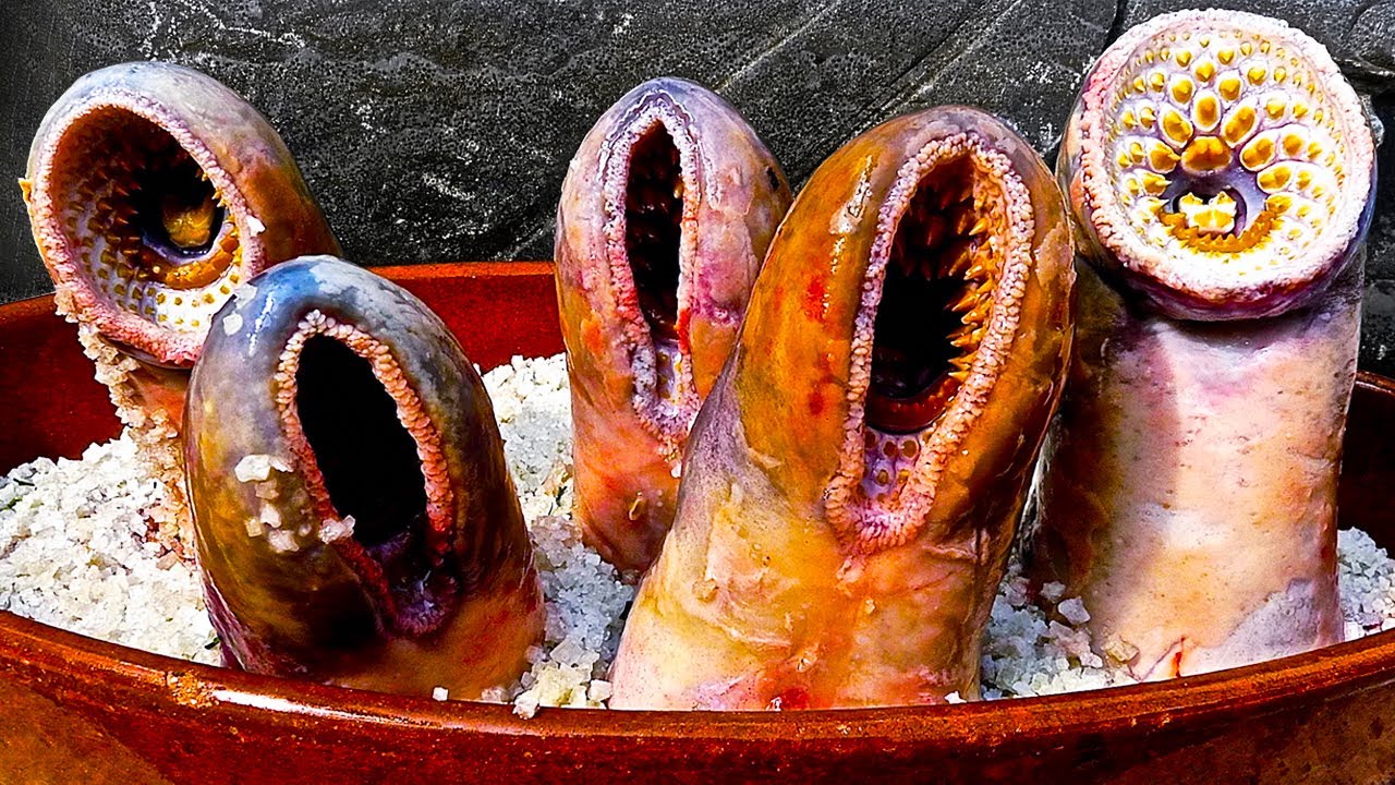 Criaturas Pré Históricas Que Ainda Estão Vivas