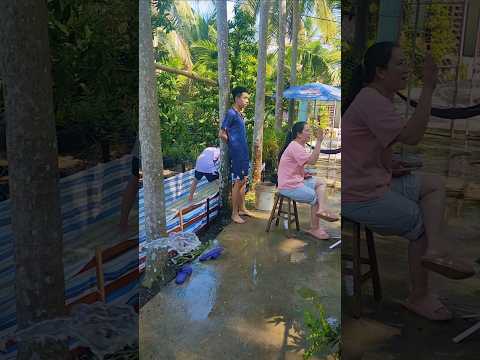 Tại Út Kha báo kìa/kykydaily #shortvideo