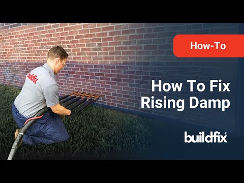 Our Rising Damp Repair Solutions | Buildfix