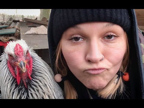 Grossstadtgeflüster Neue Freunde