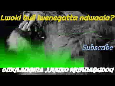 Lwaki buli lwenegatta omusajja namaliramu ndwala? - Omulangira Jjuuko Munnabuddu
