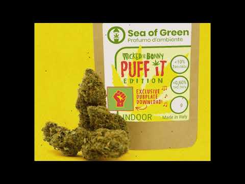 Wicked and Bonny feat. Kali Green - Puff it [Dubplatemix2018]