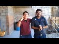 cecyte style (gangnam style) psy 