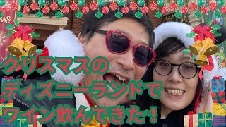 【ディズニークリスマス】クリスマスイベント開催中のディズニーランドでワインのプロ夫婦が片っ端からワイン飲んできた！