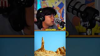 The pillar of salt that remained of a woman who looked back at Sodom’s flames #jumperjumps #shorts