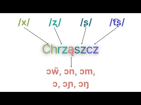 ¿Por qué aprender polaco es un reto que muchos abandonan?