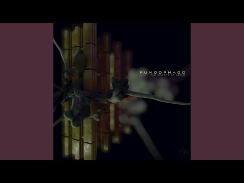 40 Days in the Desert