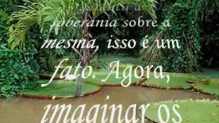 amazônia, insônia.wmv