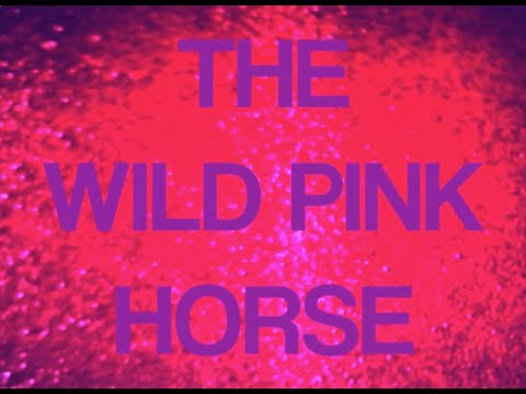 Image for video The Wild Pink Horse