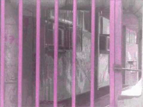 'vertikalna mudrost' zin'o zlo aka Ozza 2010