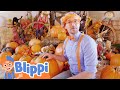 Blippi Pumpkin Farm Learning Videos For Kids Education Show For Toddlers