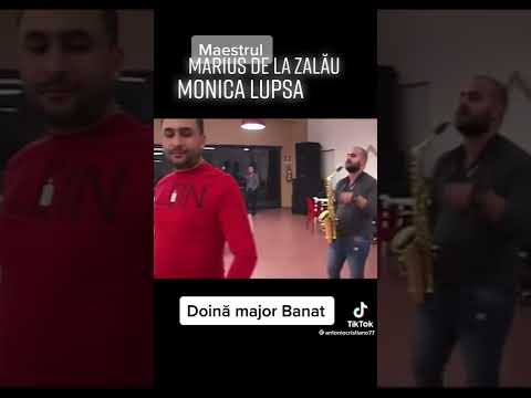 Marius de la Zalau -Monică Lupșa - Doina tiganeasca banat - live ❗️❗️