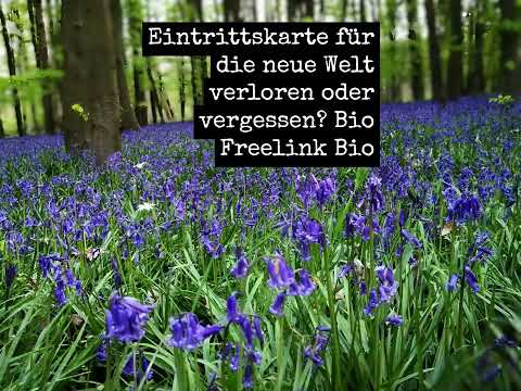 Eintrittskarte für die neue Welt..